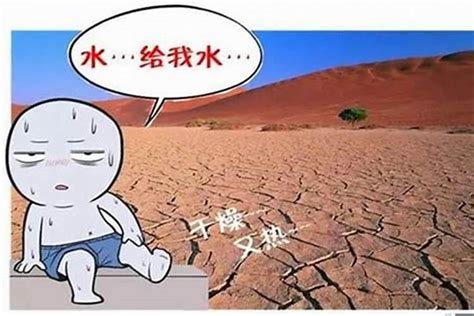 命理缺水|天干缺水怎么补：五行平衡与生活调整